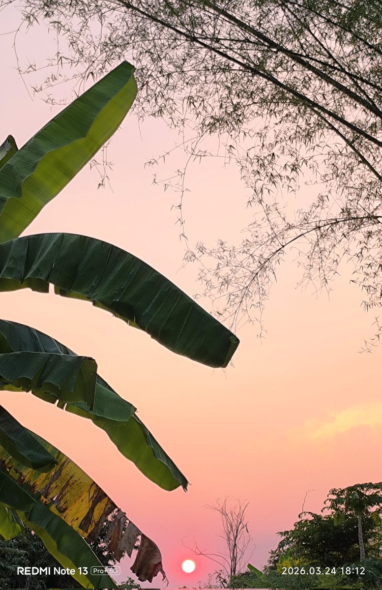 Beeboiibee765 tweet media