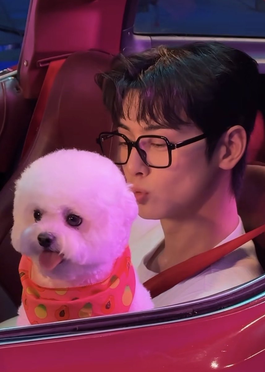 drakoroha's tweet photo. he’s cute 😭😭😭 https://t.co/Y1wbYXxNj5