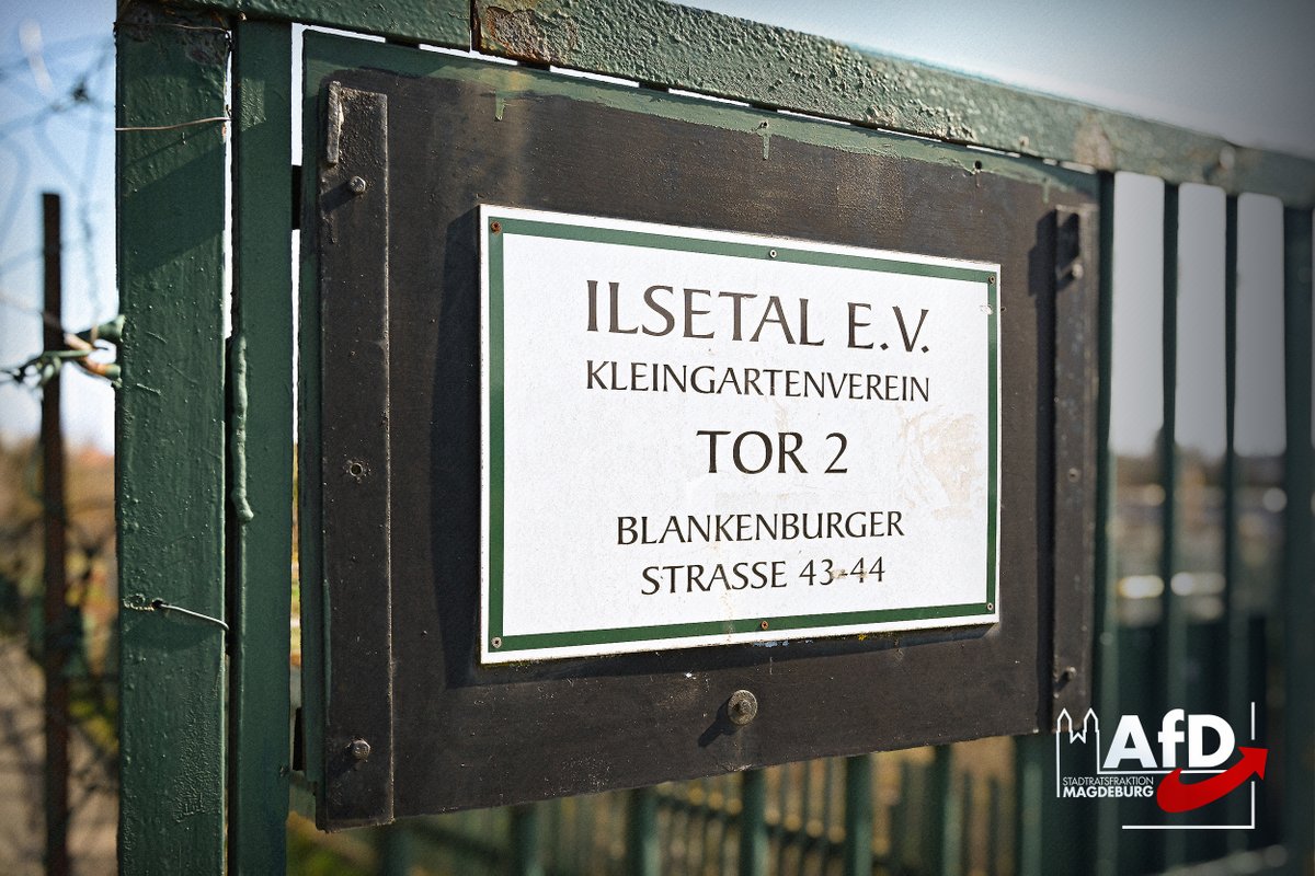 AfD - Stadtratsfraktion Magdeburg tweet media