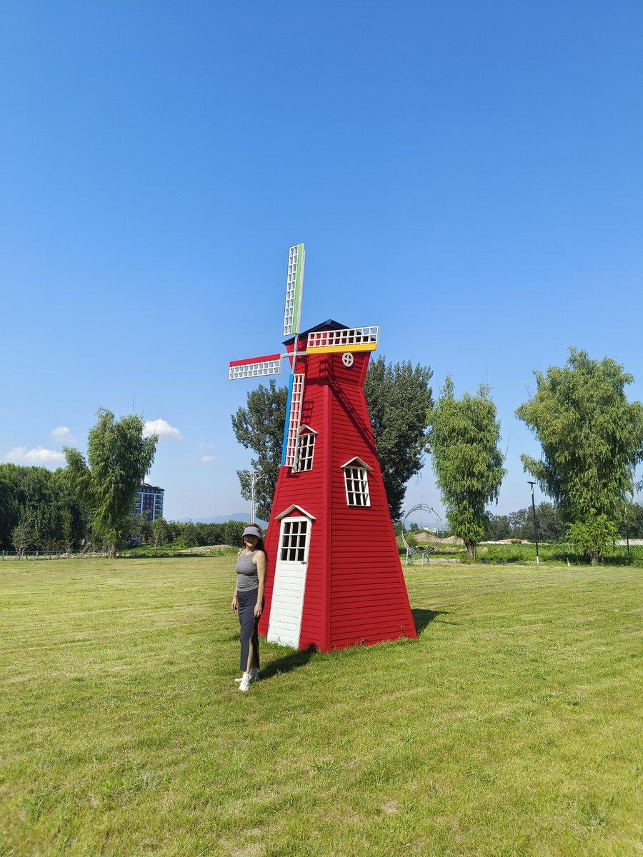 David Neally tweet media