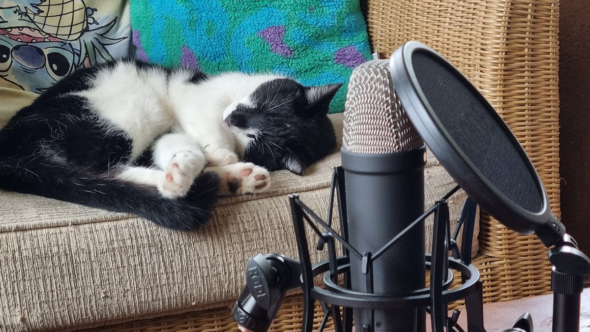 Jesse Jester 🎶 VSinger tweet media