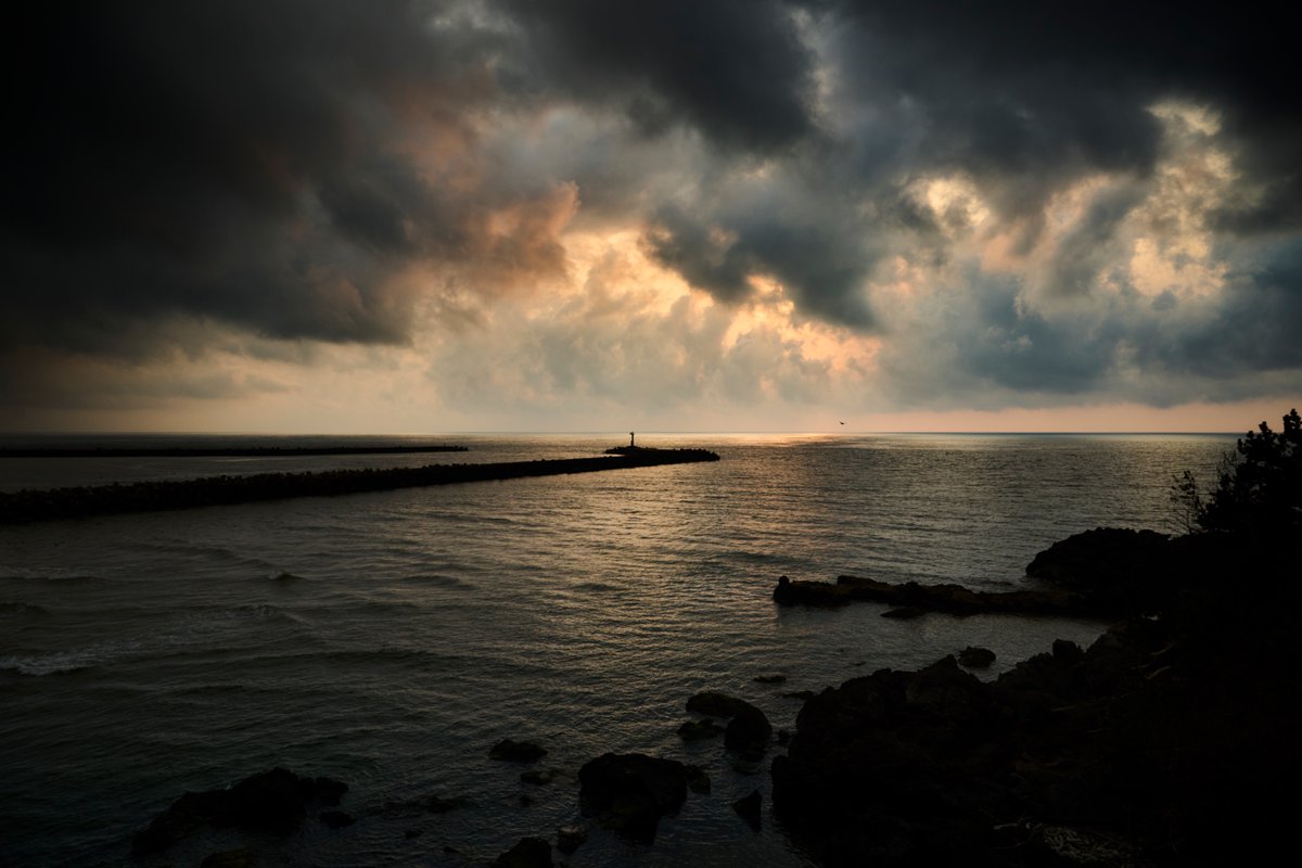 ポテトフライ tweet media