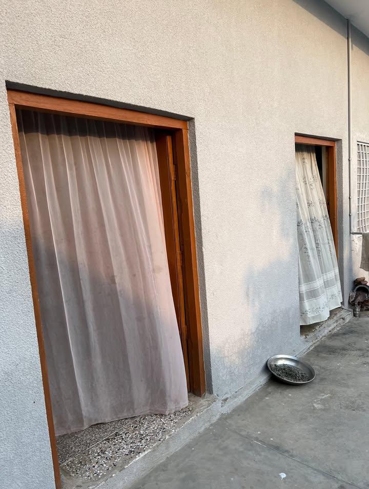 Tabana Khan tweet media