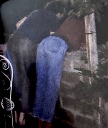 liv 🪩 tweet media