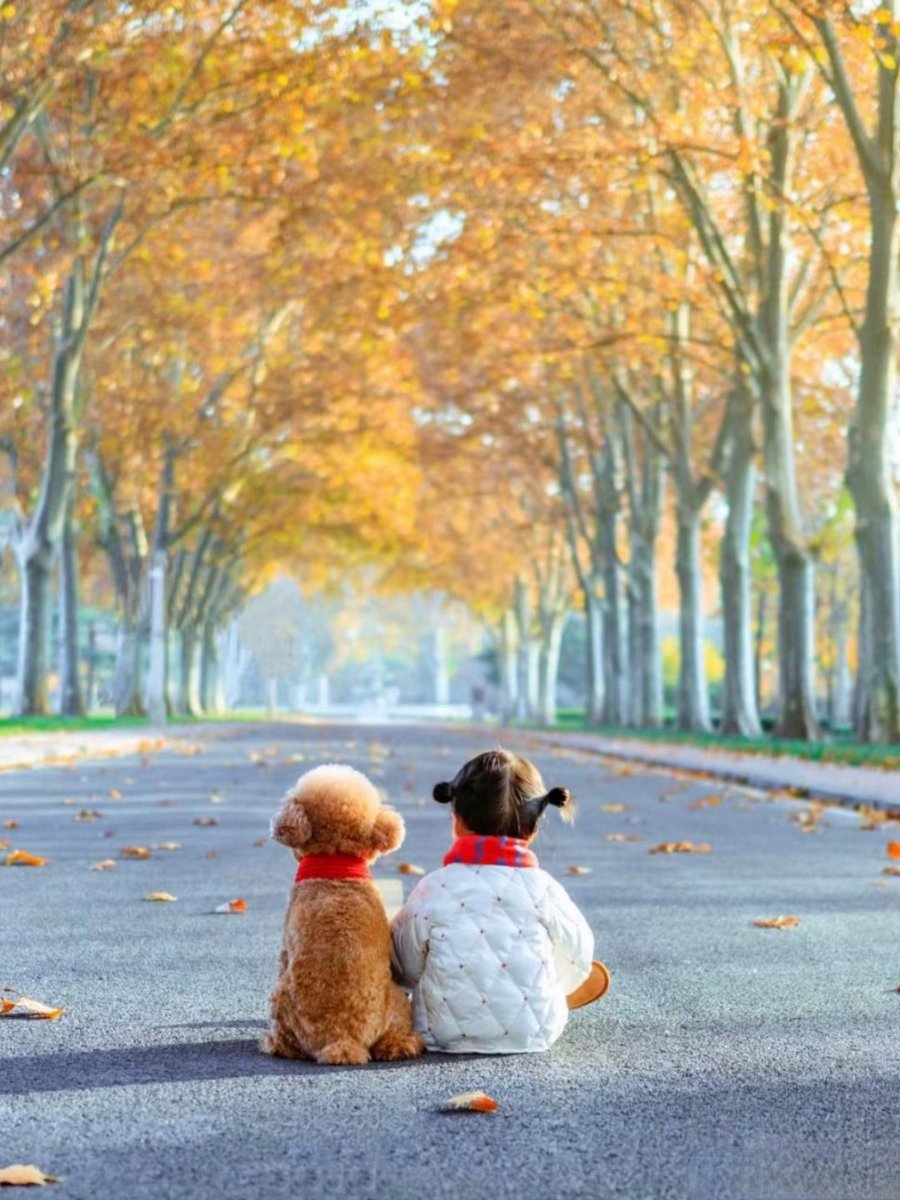 veer Rana tweet media