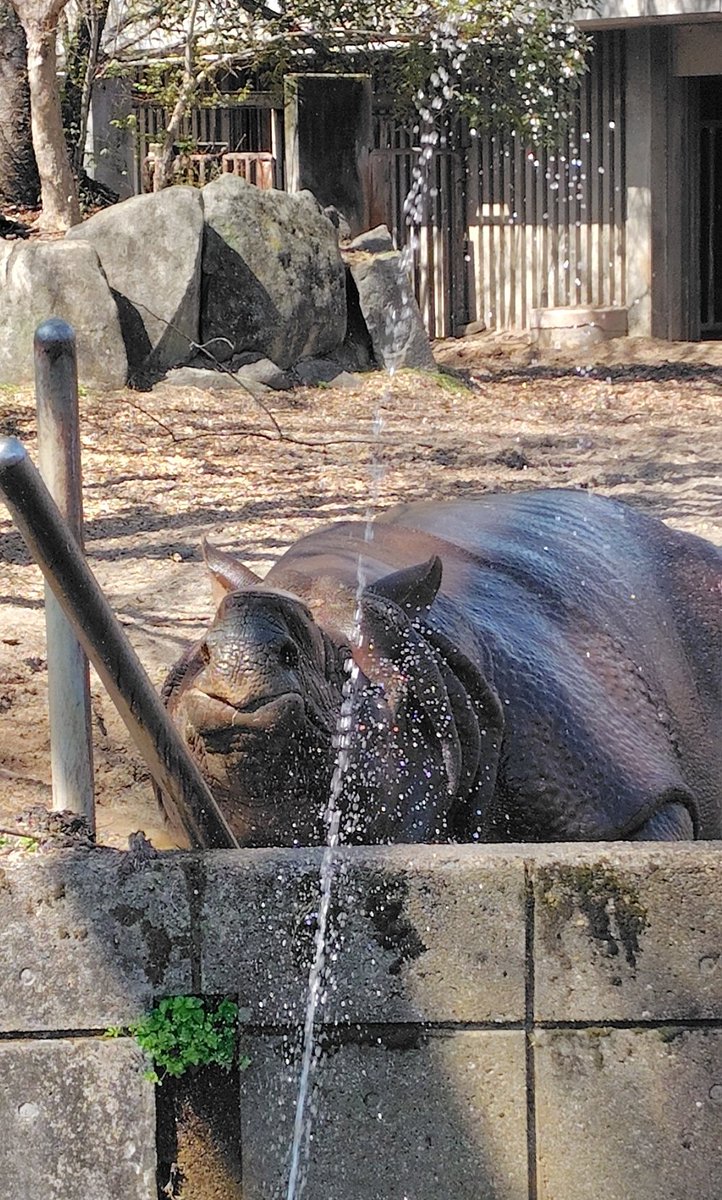 ♡ERI♡ tweet media