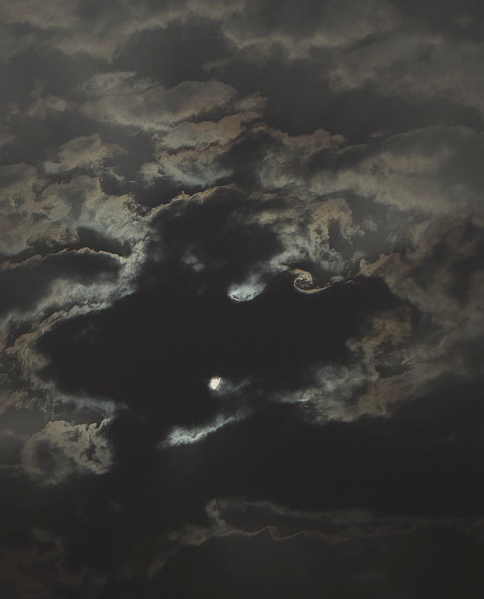 Manar🪄 tweet media