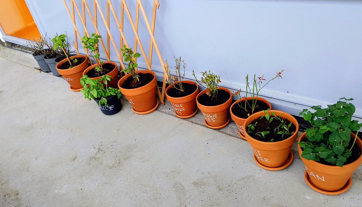 TaigaNotFound 🔞 tweet media