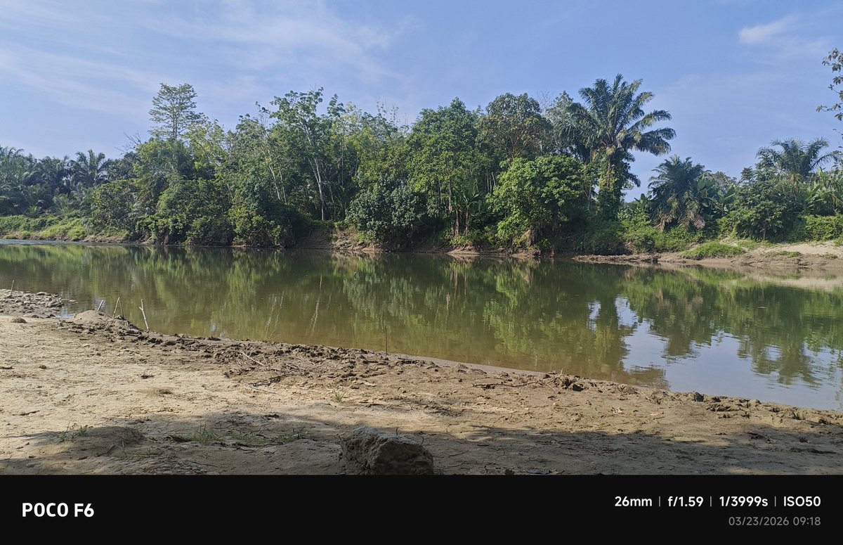 De_Cipher032 tweet media