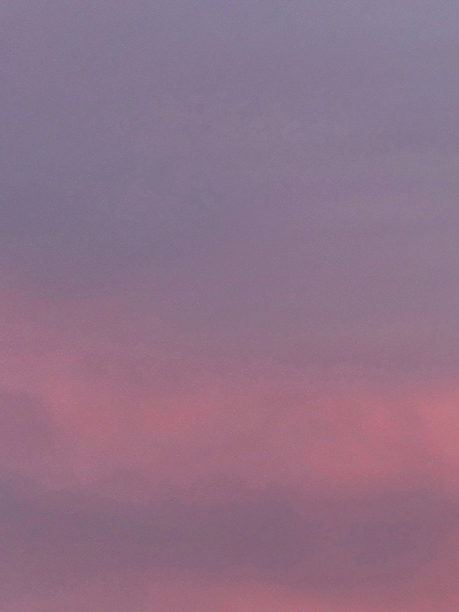 junelikethemonth tweet media