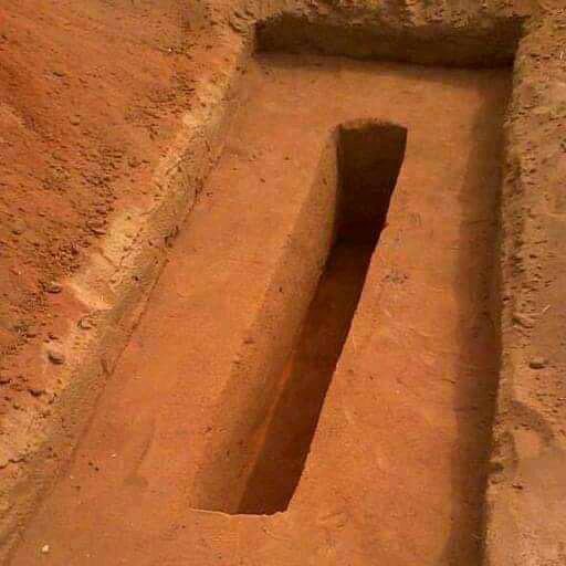 MalamWadata🕊️ tweet media