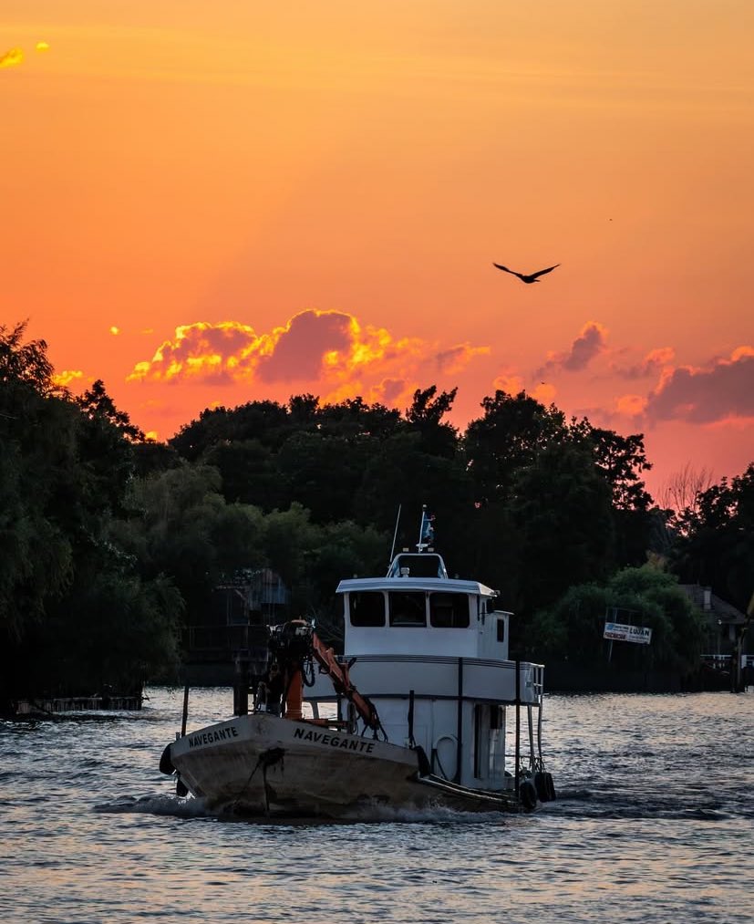 𝚏𝚞𝚕𝚊𝚗𝚒𝚝𝚊💛 tweet media