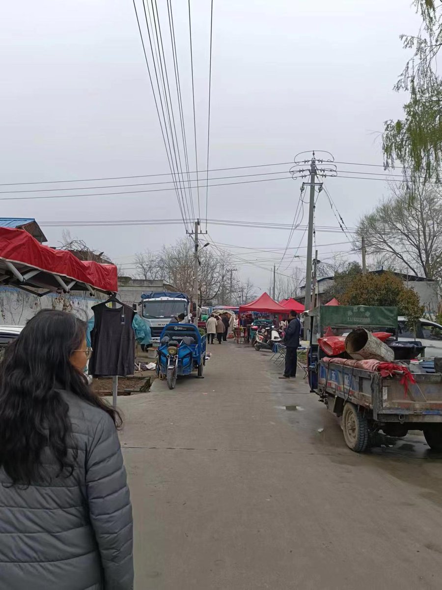 Stephanie Thomas tweet media