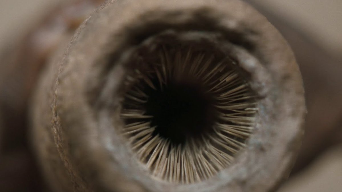 The Sietch of Sci-Fi | tweet media