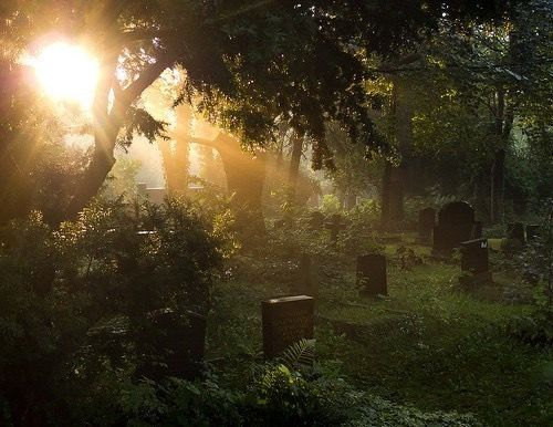 KATZRIAN. tweet media