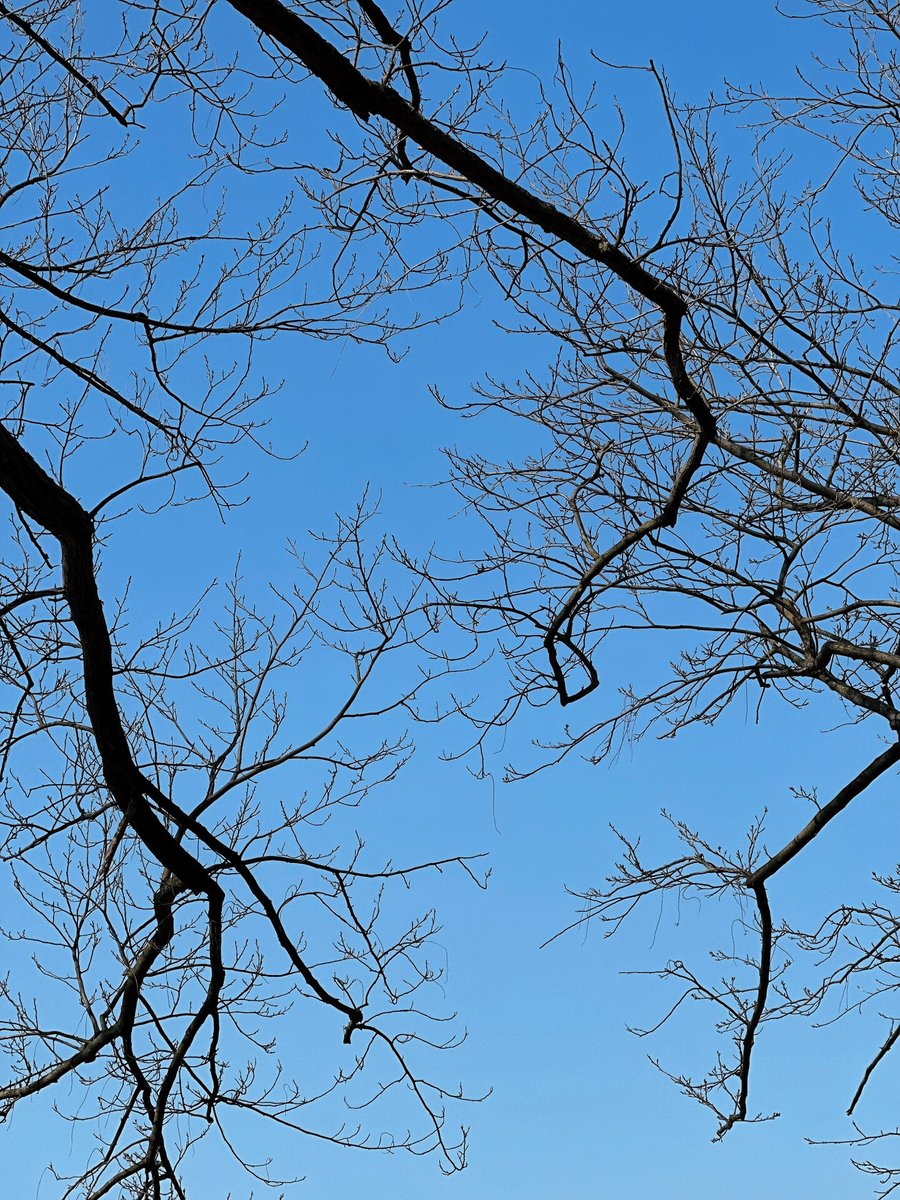 Abdul Manan Siddiqui tweet media