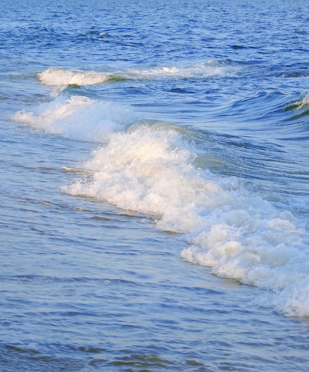 Scott Thomas tweet media