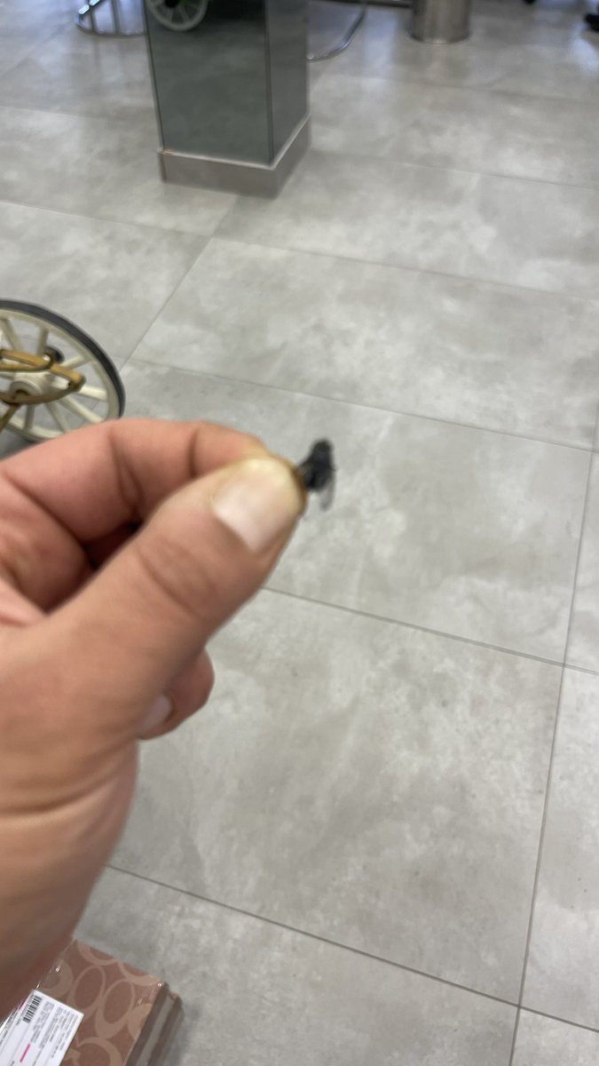 ALi desidero😎 tweet media