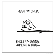 Martinek tweet media