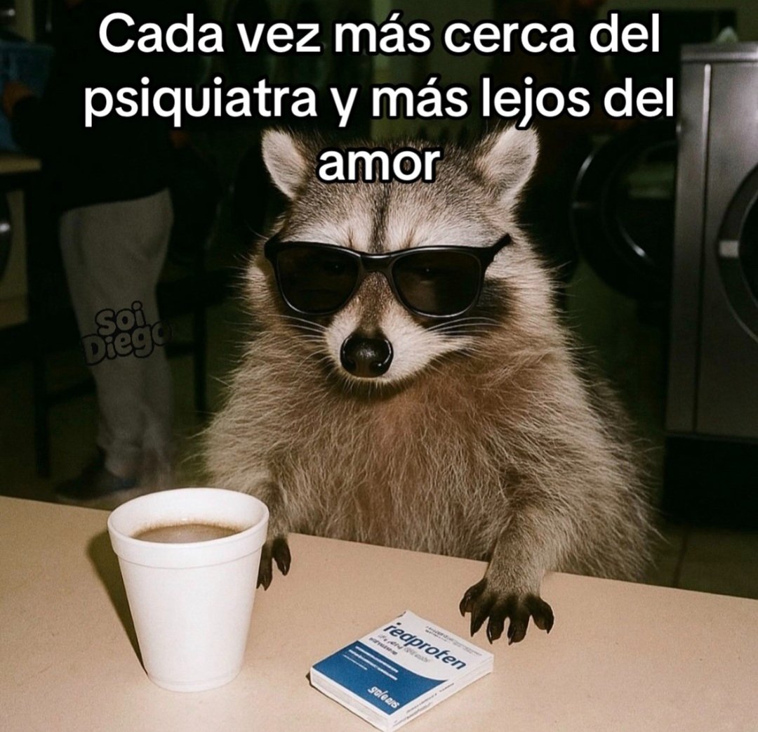 En Júpiter (@en_jupiter_) on Twitter photo 