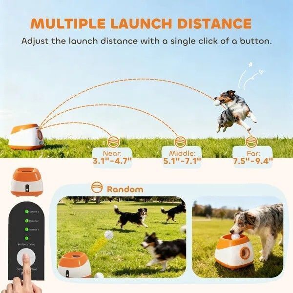 k9_essentials's tweet photo. 🌸 Good Morning! Spring is here and it’s time for outdoor fetch fun! ☀️🐕
Let the automatic ball thrower do the work while your pup plays nonstop! 
Shop: https://t.co/9mhcy1CEOa

#EliteK9Essentials #SpringPups #FetchTime #HappyTails #DogLovers #PetFun #OutdoorDogs #FurBabyLove https://t.co/GjurNvsryz