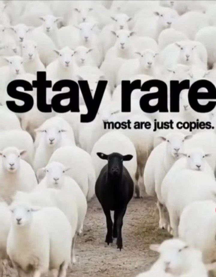 vegastar (@vegastarr) on Twitter photo 