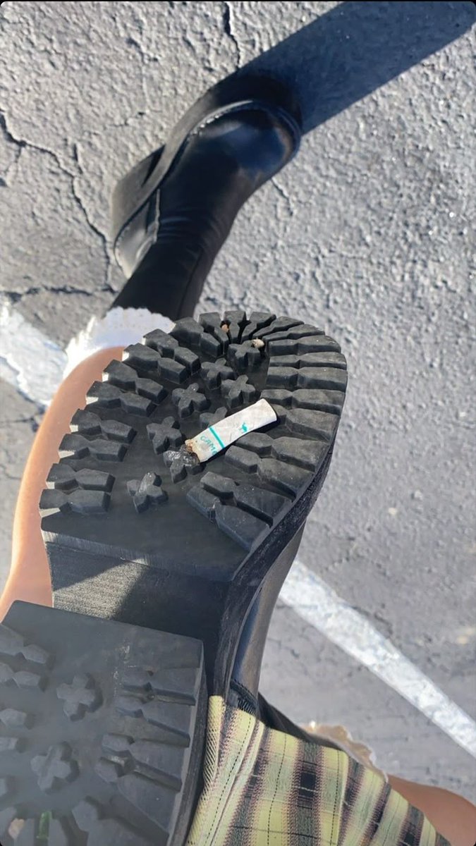 gottin_calathea👑 tweet media