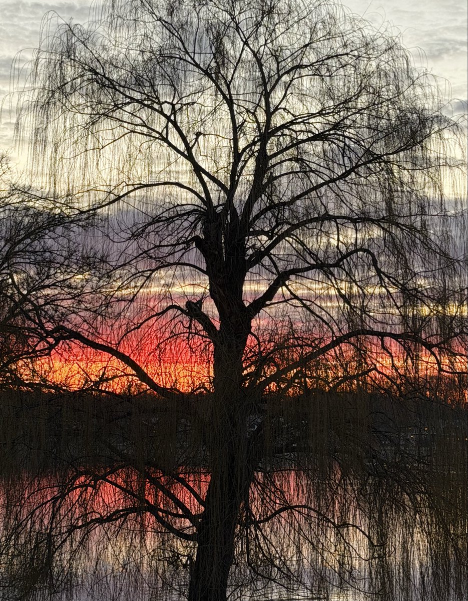 Terry Johnson tweet media