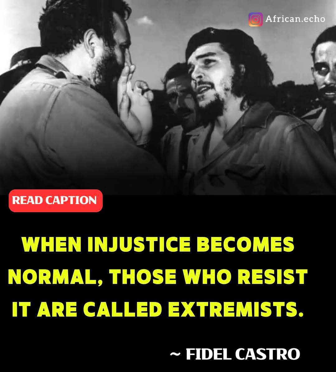 Hassan Mubaraq tweet media