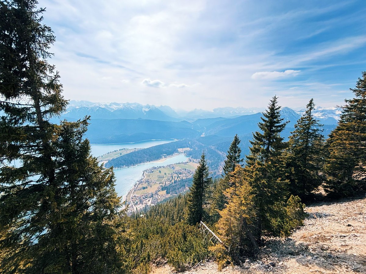 hedyundolaf tweet media