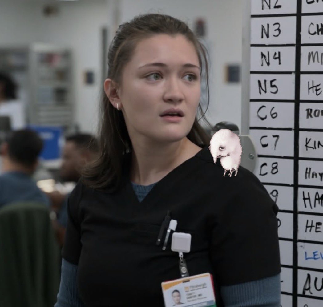 andy 🐈‍⬛ tweet media