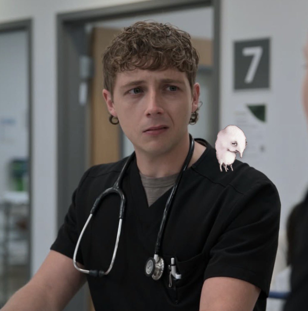 andy 🐈‍⬛ tweet media