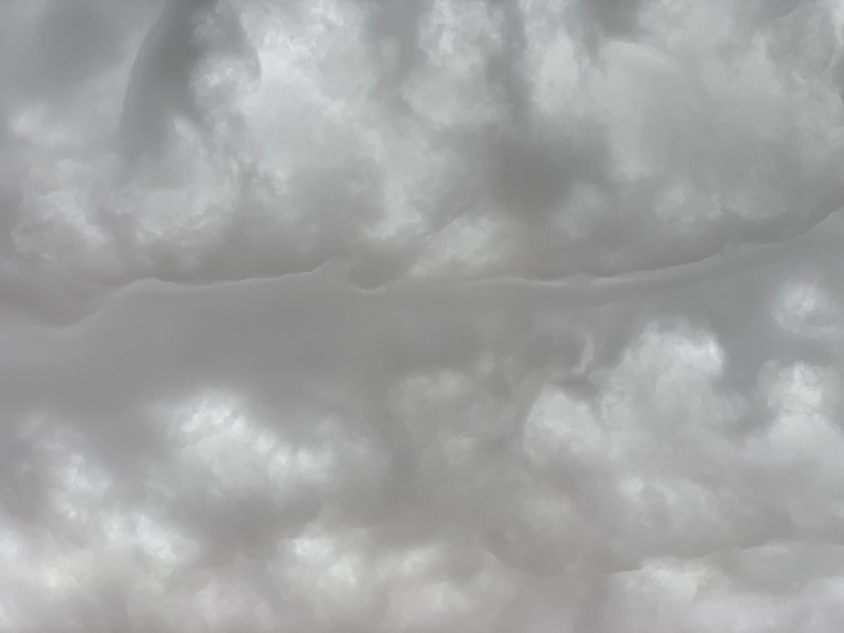 أمان ❄︎ tweet media