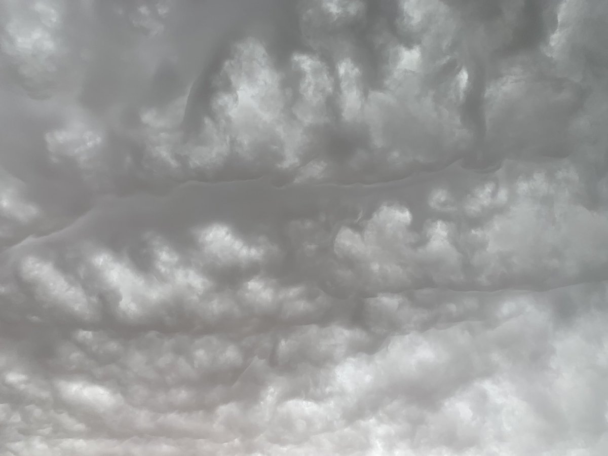 أمان ❄︎ tweet media