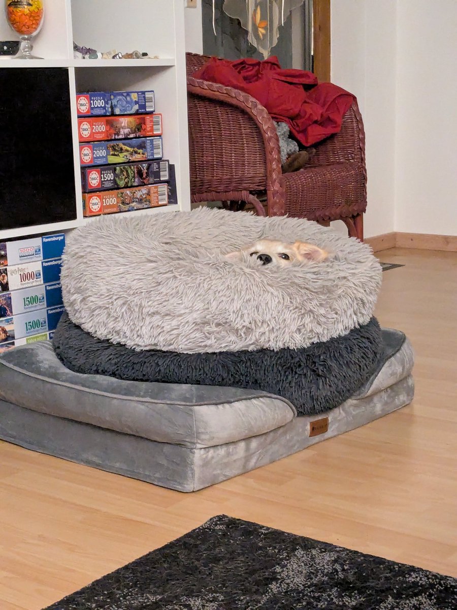 Armes unter🍪tes Kuku tweet media