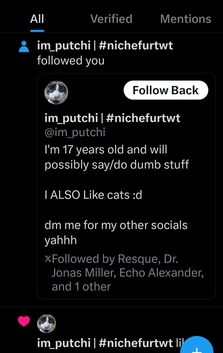 Chefoxara 🇨🇿 tweet media