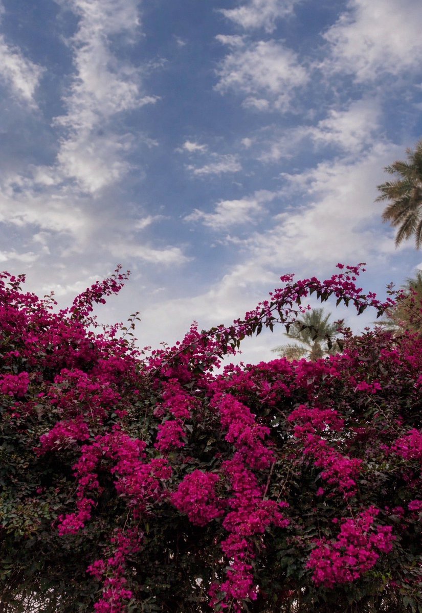 𝐿𝑢𝑙 tweet media