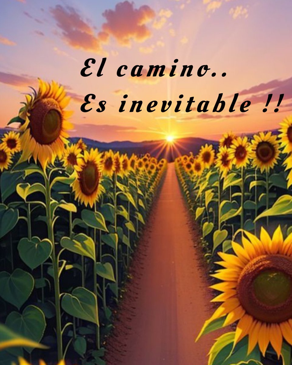 @ColoBV5 tweet media