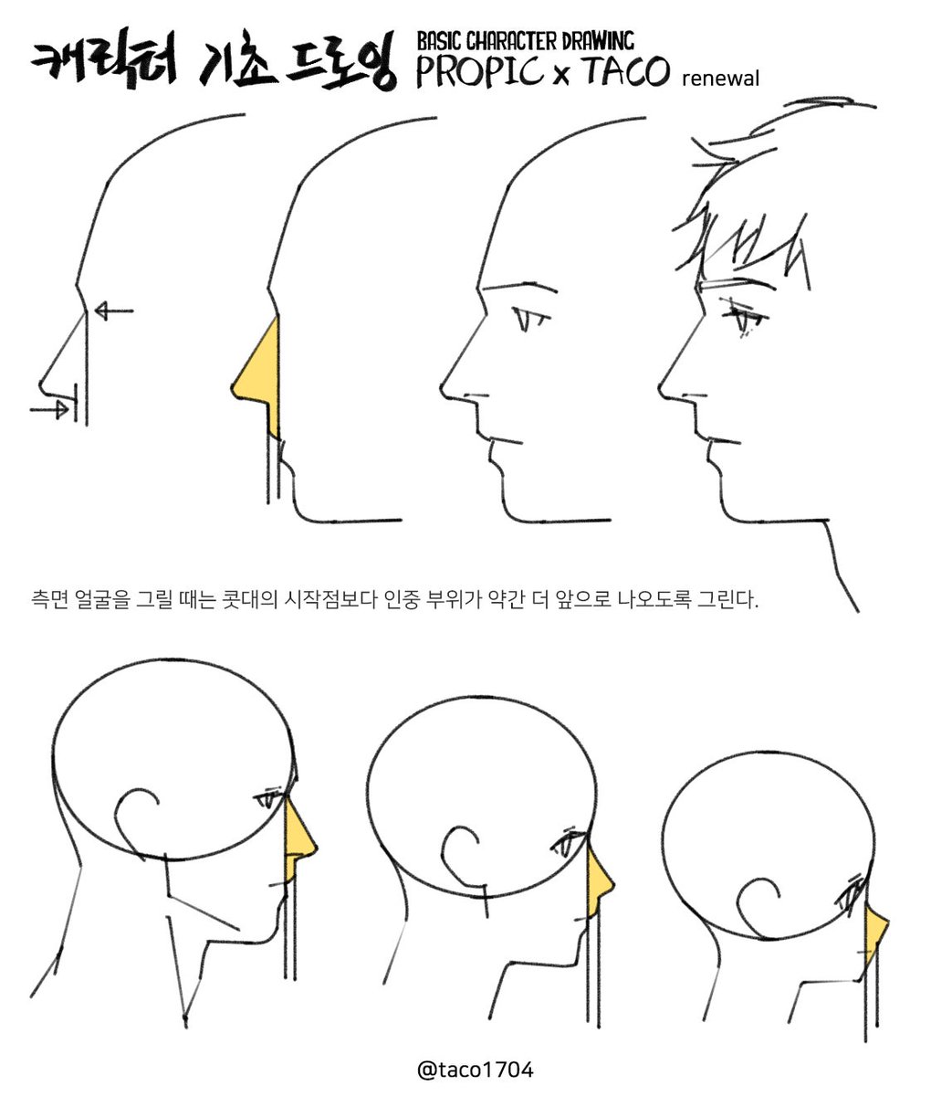 타코작가 tweet media