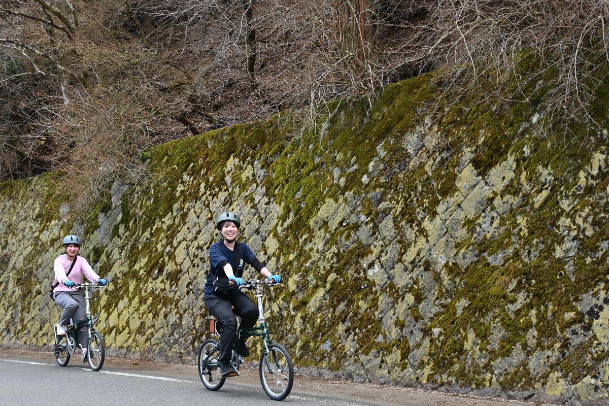 秦野市 tweet media