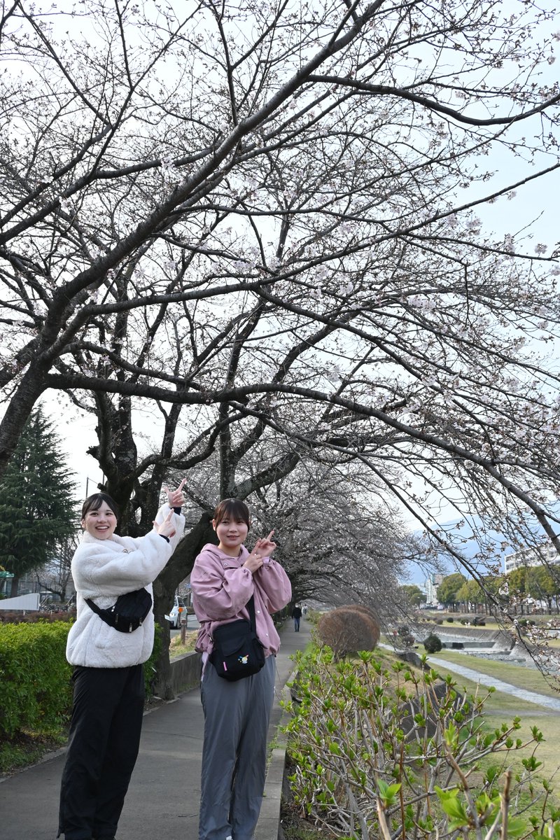 秦野市 tweet media