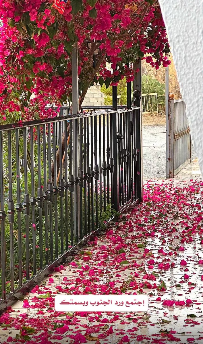 تــغريـد ❥ ᥫ᭡ tweet media