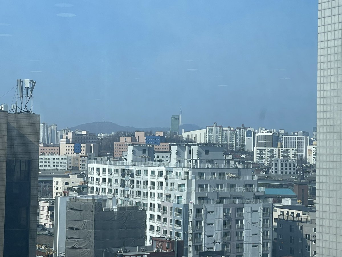 찔레꽃 tweet media