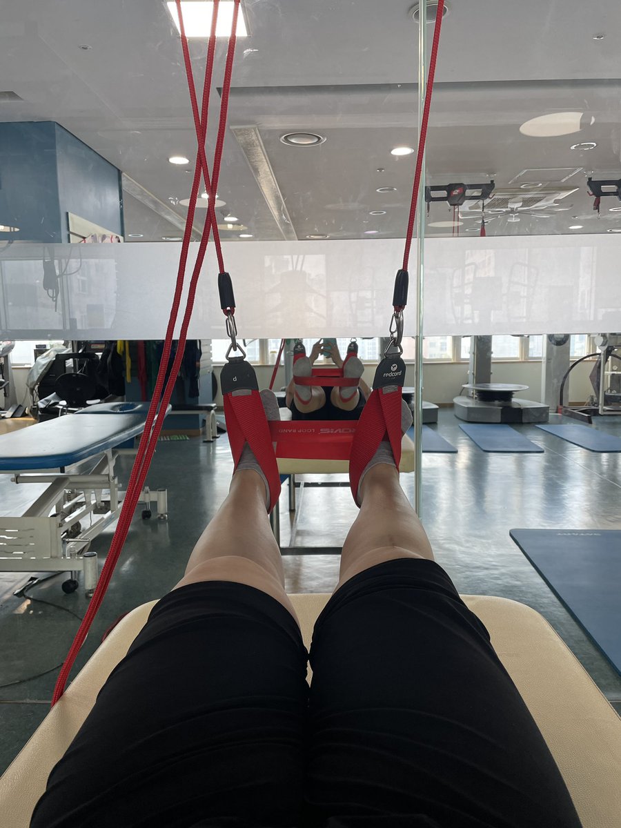 찔레꽃 tweet media