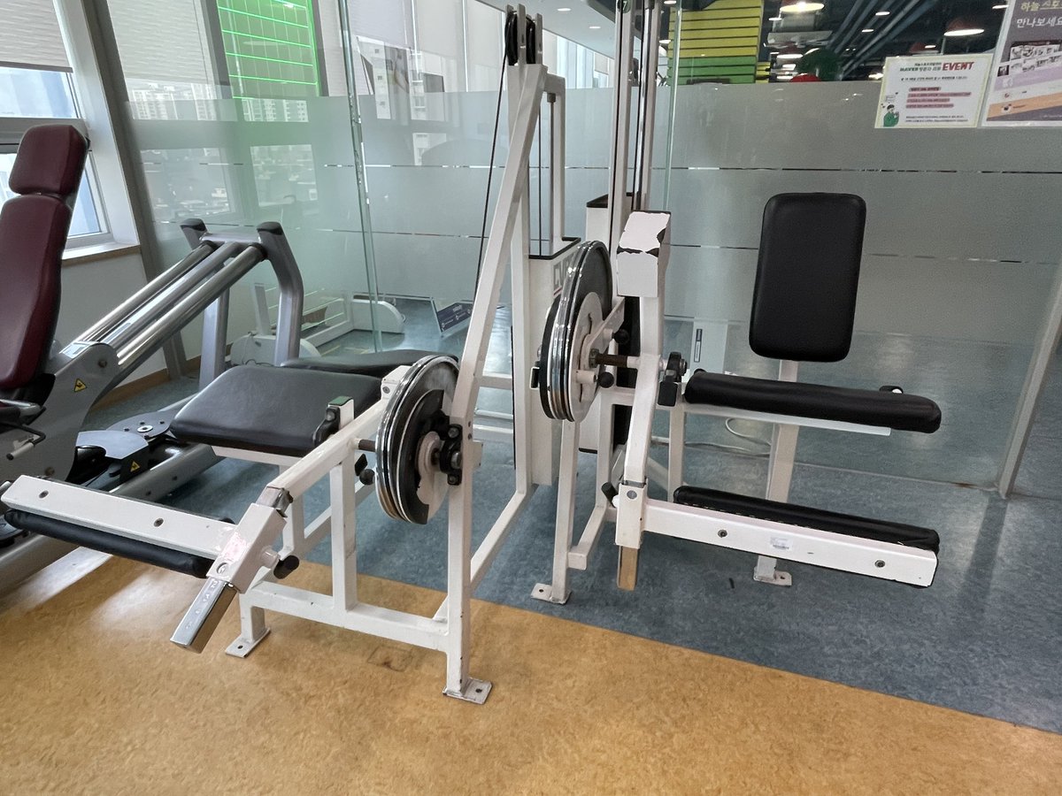 찔레꽃 tweet media