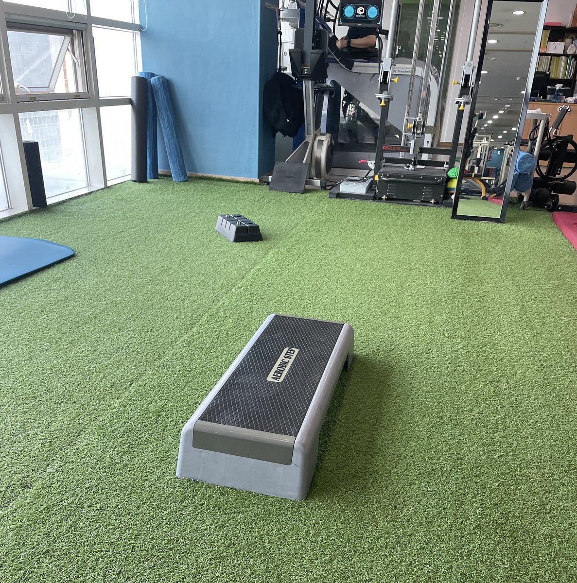 찔레꽃 tweet media