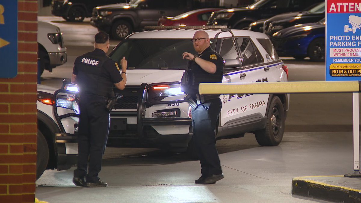 Ryan French FOX13 tweet media