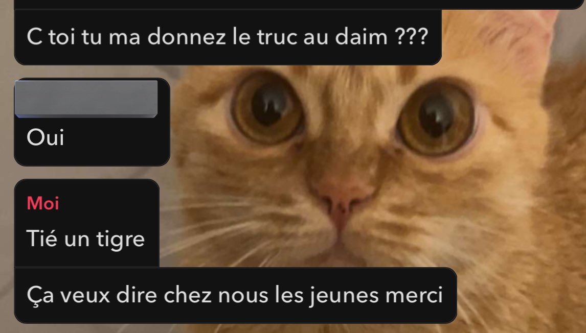 Yanni le Mahboul ⵣ🇩🇿 tweet media