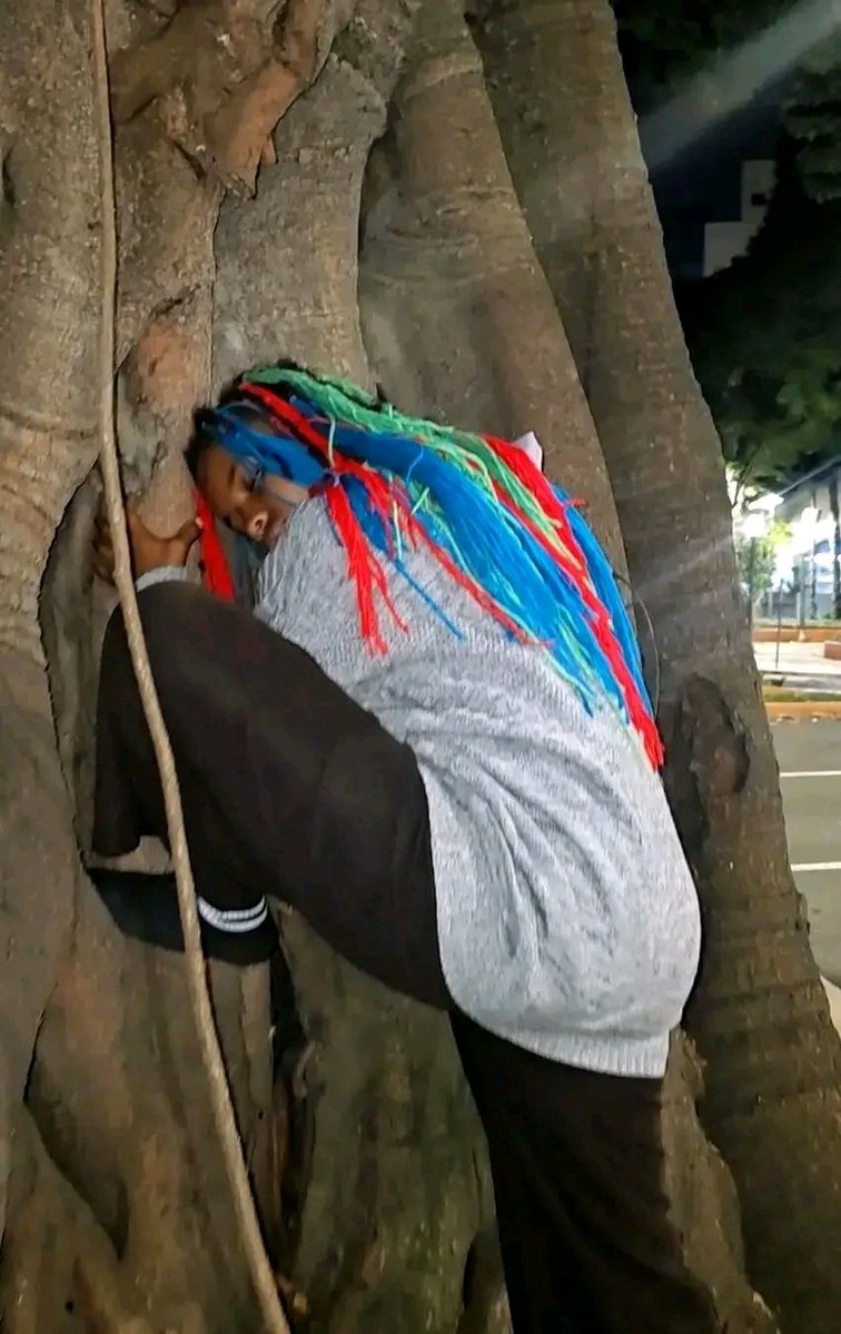 Môshkï tweet media