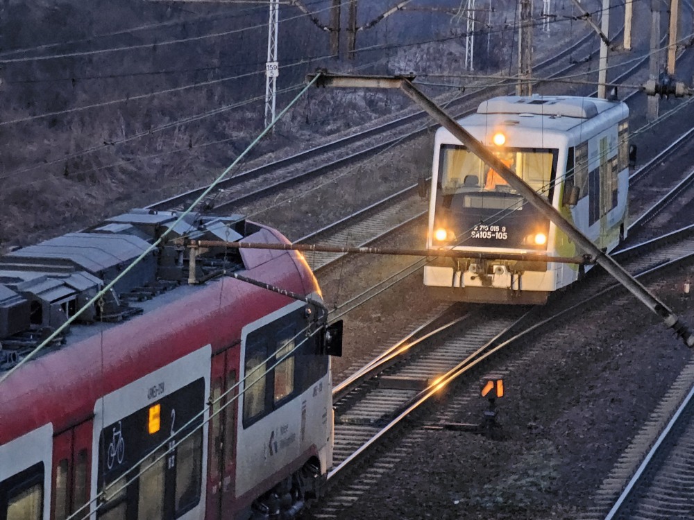 Kuracyja tweet media